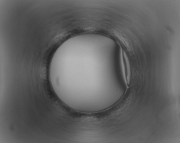 X0000116390689200912291750