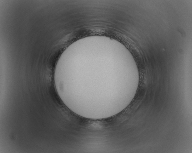 X0000116390710200912291750