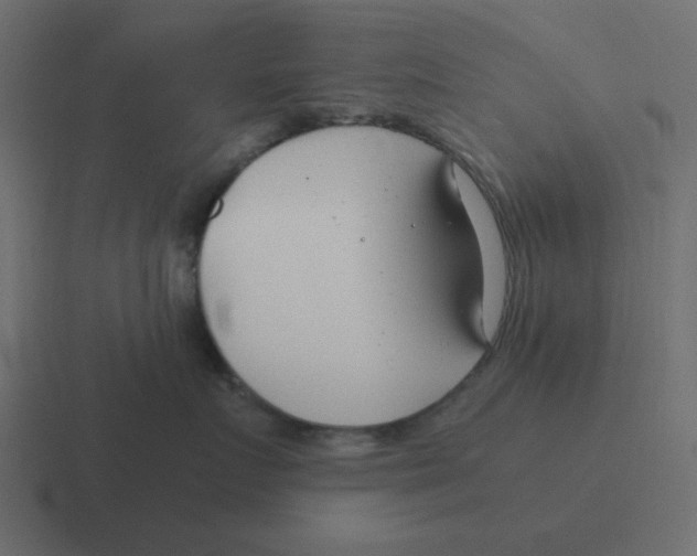X0000116390719200912291750