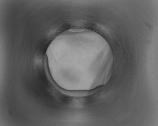 X0000116390720200912291750
