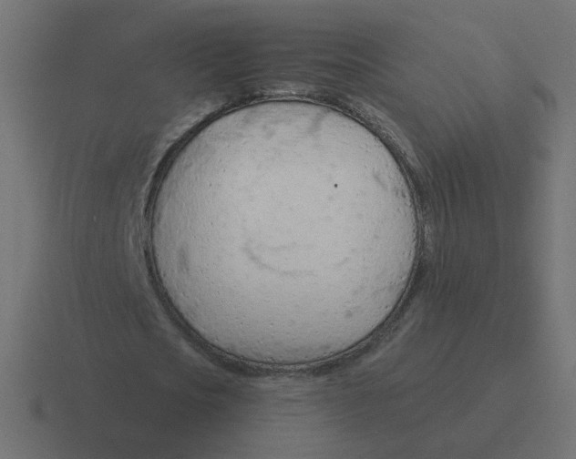 X0000116390721200912291749