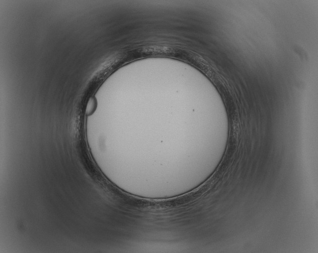 X0000116390735200912291749