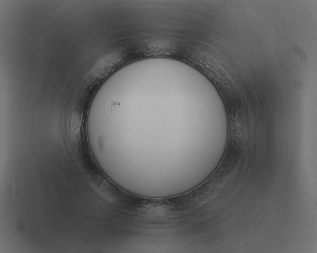 X0000116390742200912291750