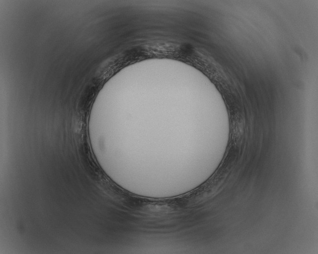 X0000116390749200912291750