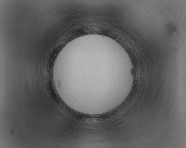 X0000116390751200912291750