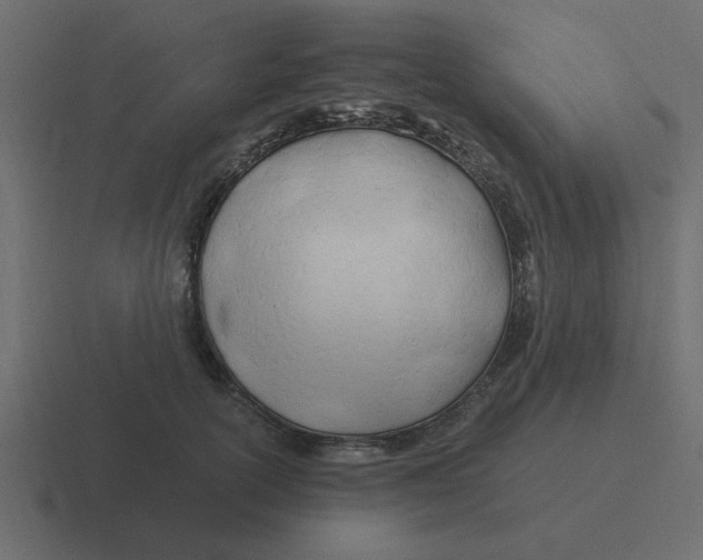 X0000116390754200912291750