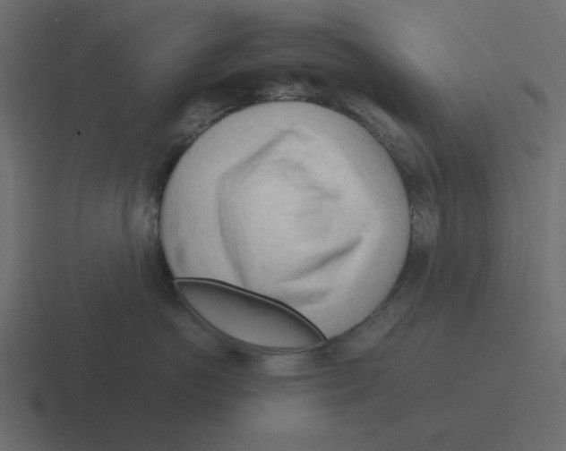 X0000116390766200912291750