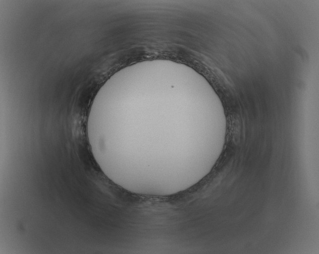 X0000116390770200912291749