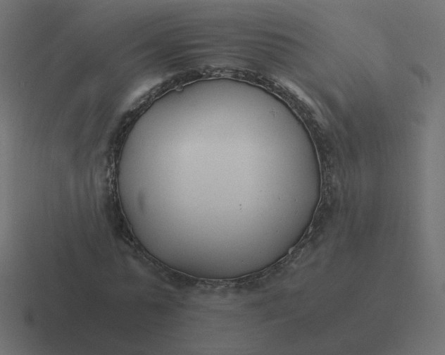 X0000116390775200912291749