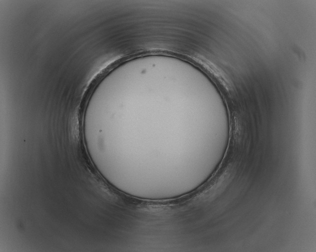 X0000116390782200912291749