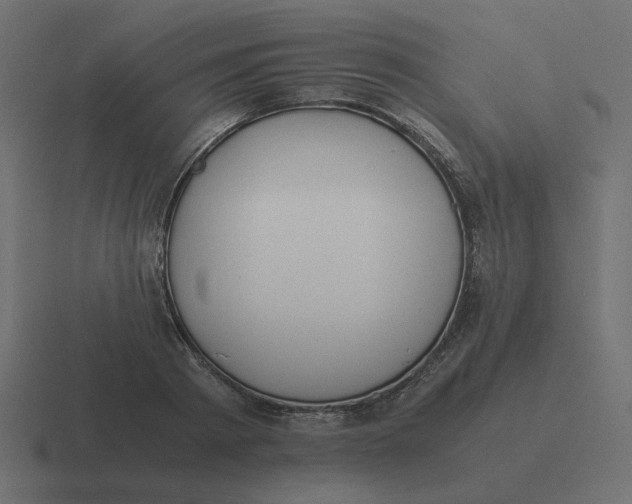 X0000116390793200912291749