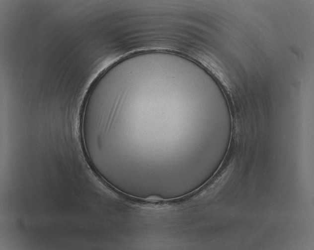 X0000116390797200912291749