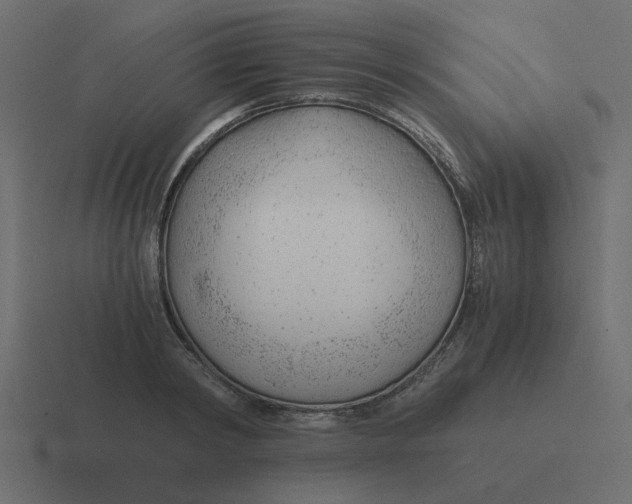 X0000116390798200912291749