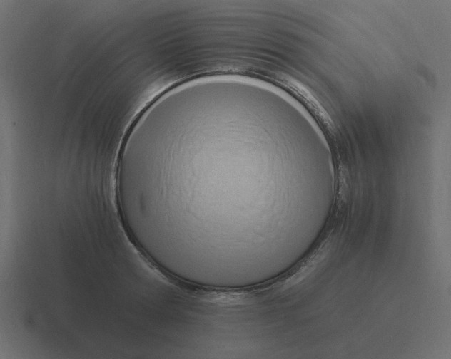 X0000116390802200912291749