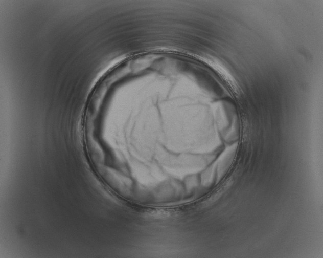 X0000116390806200912291749