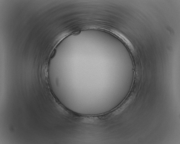 X0000116390809200912291749