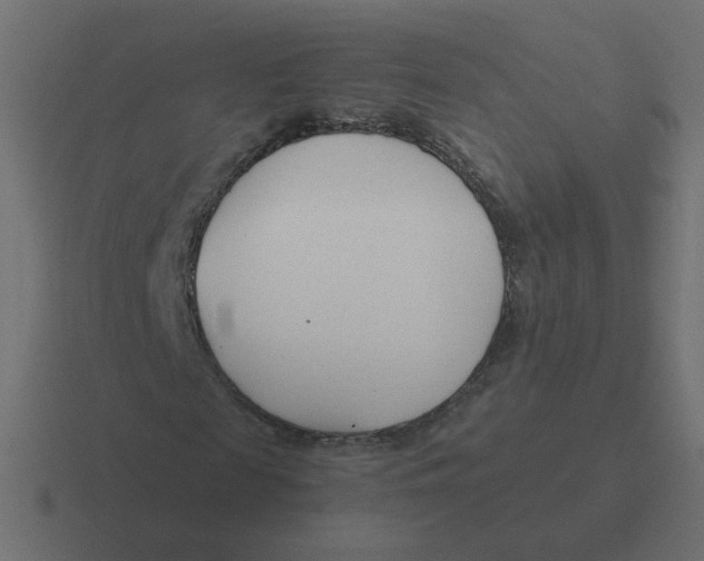X0000116390817200912291748