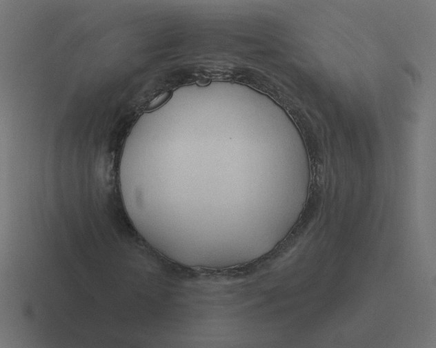 X0000116390818200912291748