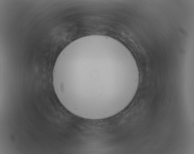 X0000116390820200912291748
