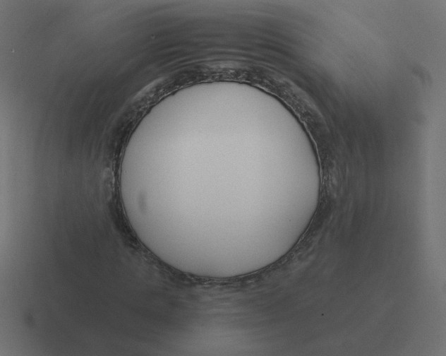 X0000116390821200912291748