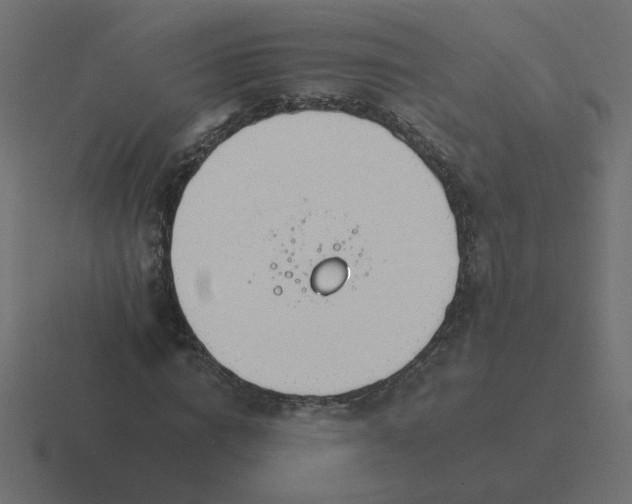 X0000116390824200912291748