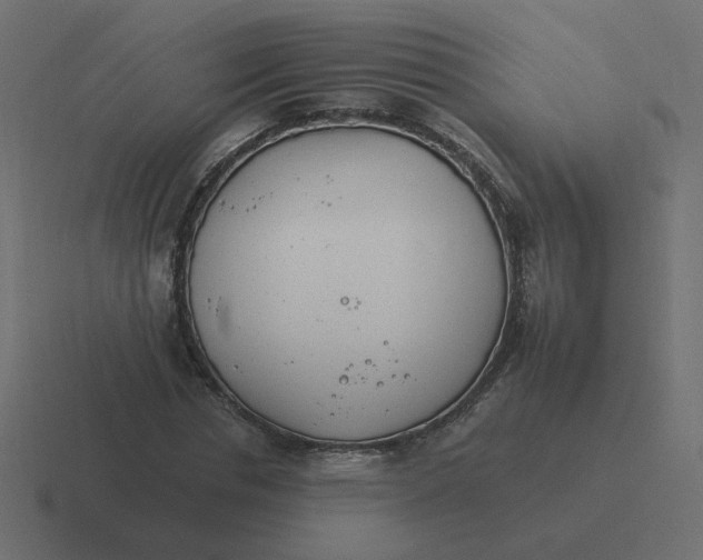 X0000116390826200912291748