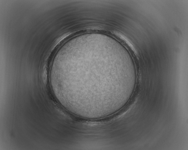 X0000116390829200912291748