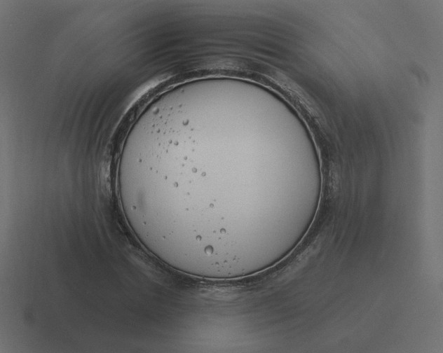 X0000116390830200912291748