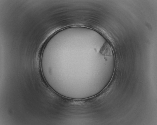 X0000116390835200912291748