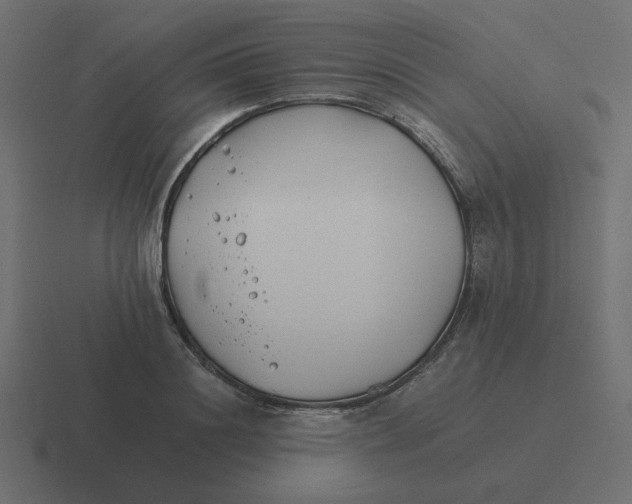 X0000116390844200912291748