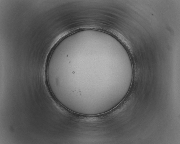 X0000116390845200912291748