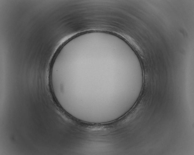 X0000116390846200912291748