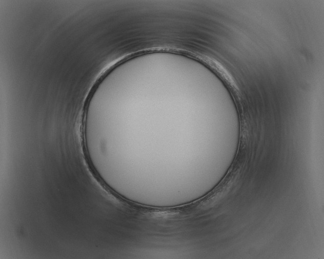 X0000116390847200912291748