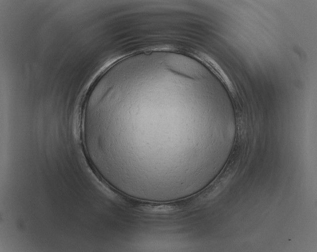 X0000116390851200912291749