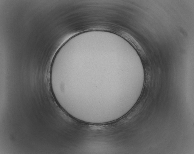 X0000116390852200912291749