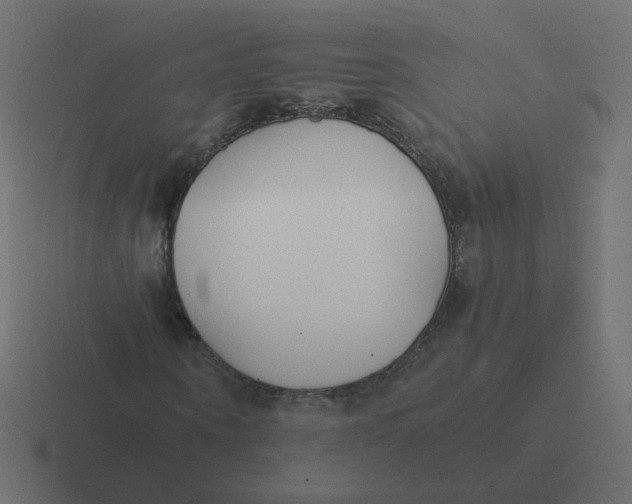 X0000116390866200912291748
