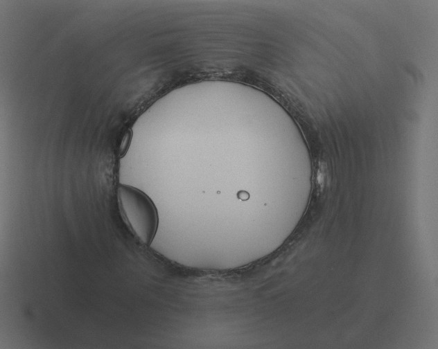 X0000116390867200912291748