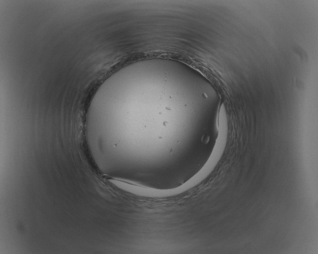 X0000116390868200912291748