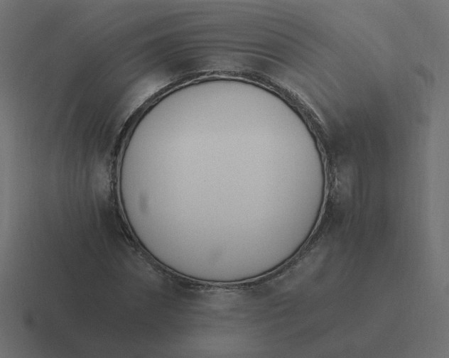 X0000116390874200912291748