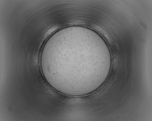 X0000116390882200912291748