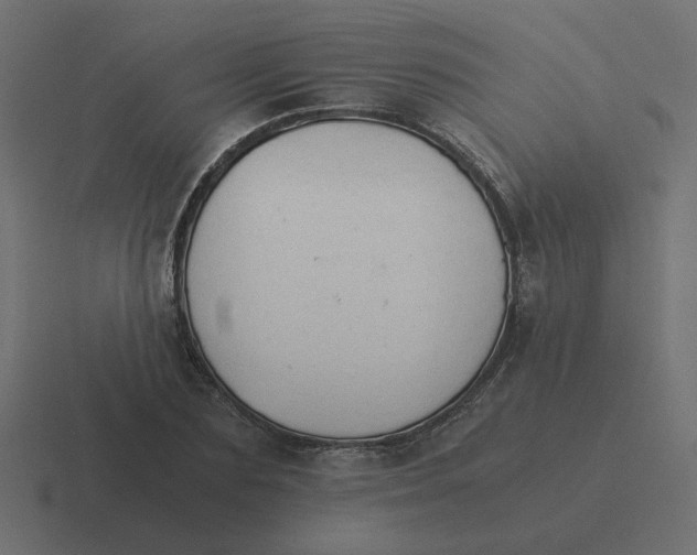 X0000116390883200912291748