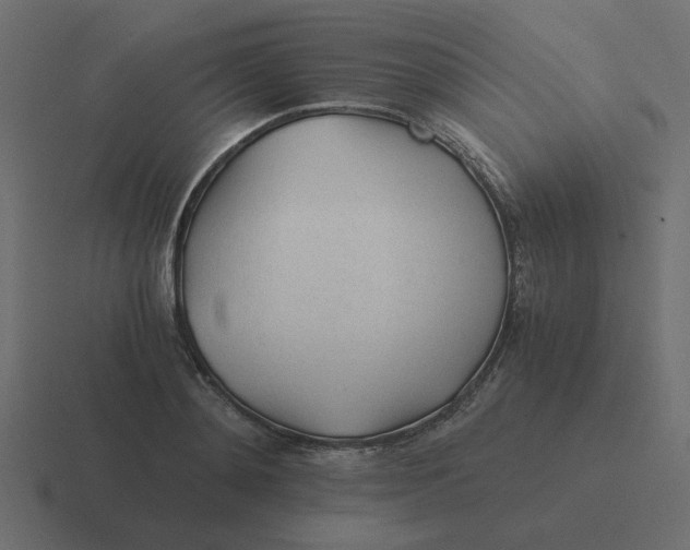 X0000116390892200912291748
