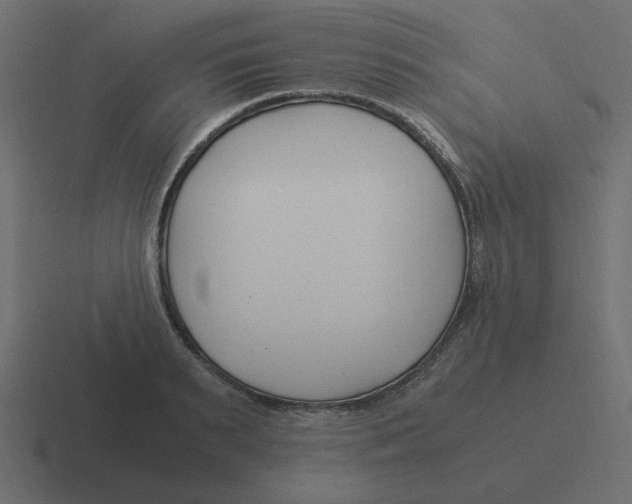 X0000116390895200912291748