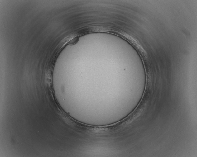X0000116390897200912291748