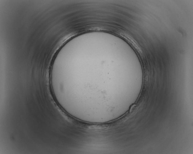 X0000116390898200912291748