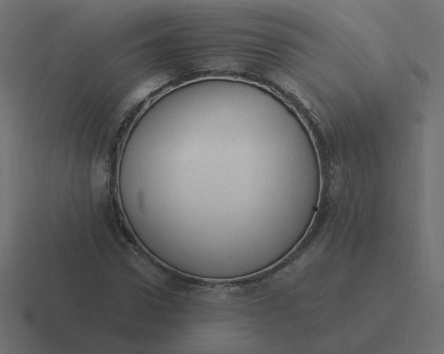 X0000116390922200912291747