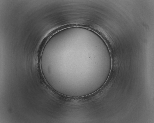 X0000116390923200912291747