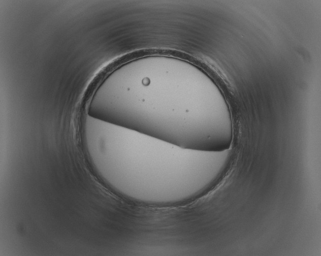 X0000116390926200912291747