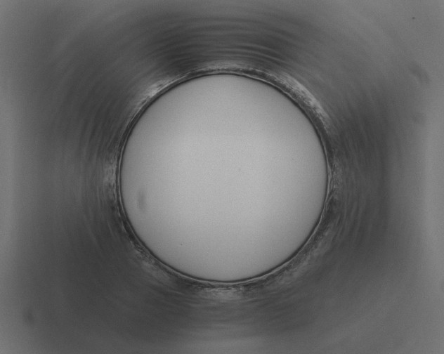 X0000116390937200912291747