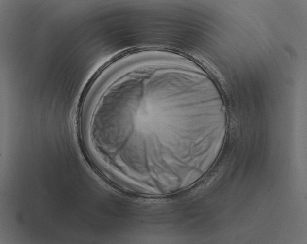 X0000116390941200912291747